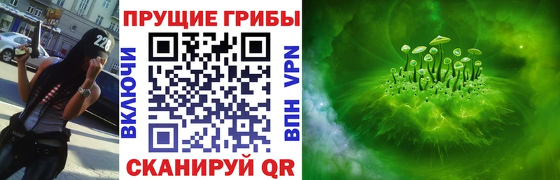 ОМГ ОМГ ONION  Пудож  Псилоцибиновые грибы прущие грибы  закладка 